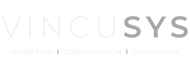 VINCUSYS